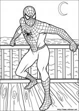 Dibujos De Spiderman Para Colorear En Colorear Net